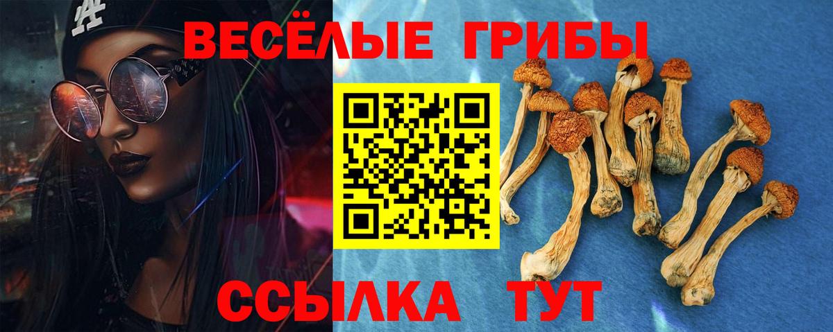 Псилоцибиновые грибы Psilocybine cubensis  Псилоцибиновые грибы Psilocybine cubensis  Вход с VPN  Бузулук 